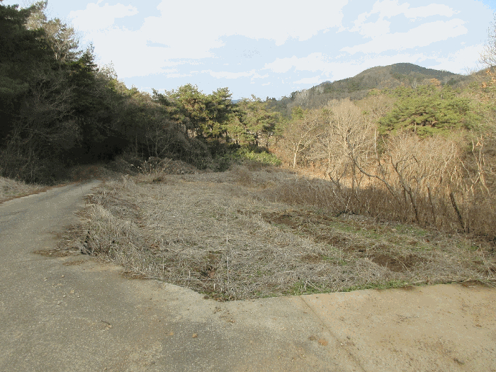 일련번호 1)