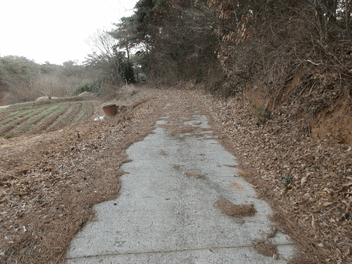 일련번호 3)