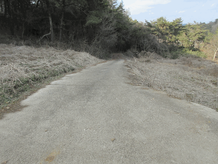 일련번호 3)