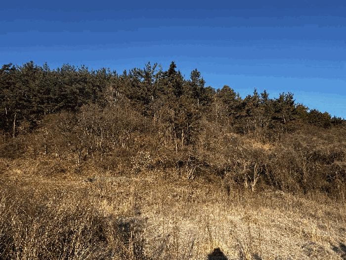 일련번호 2)