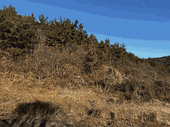 일련번호 2)