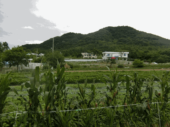 본건 주변