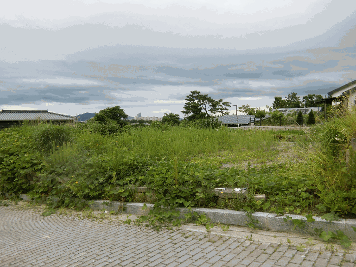 2026타경4993