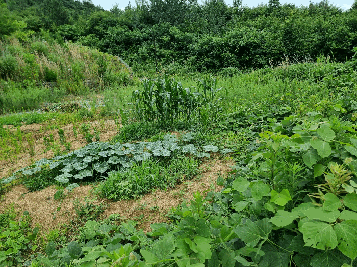 2026타경4993