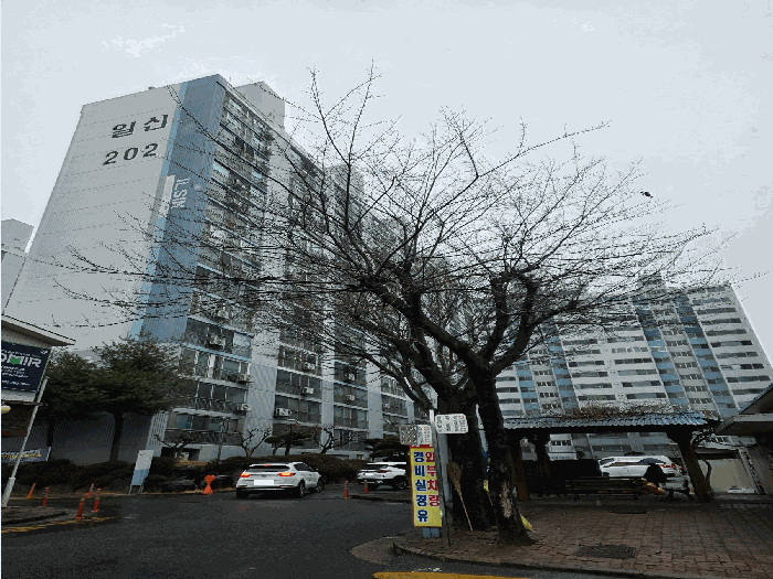 본건 소재동