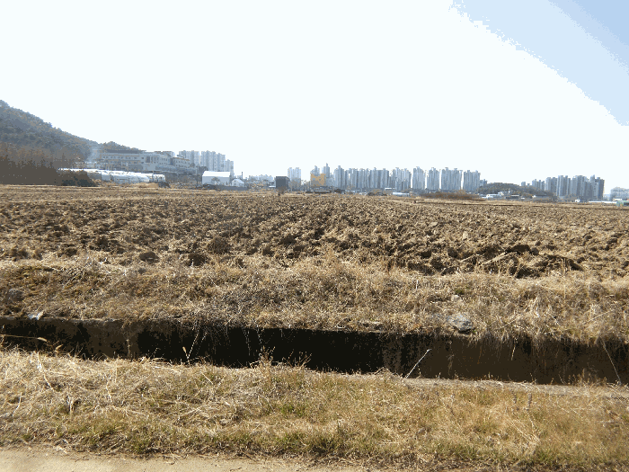 2026타경30489