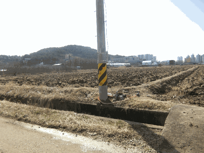 2026타경30489
