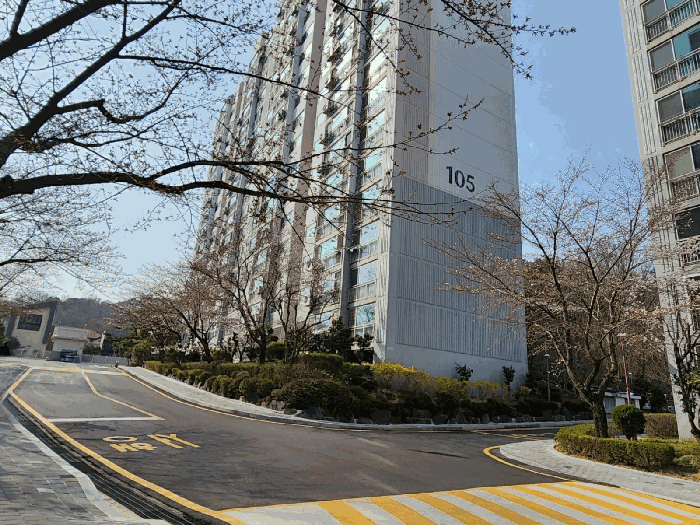 본건 남측