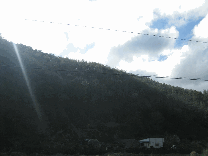 일련번호(2) 전경