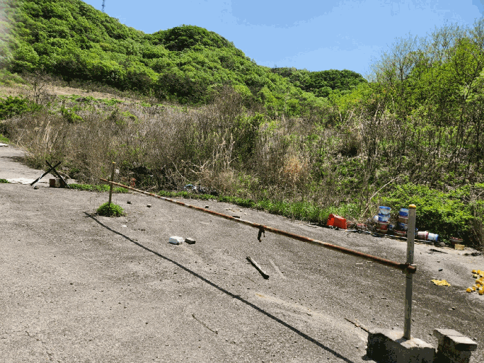 본건 (11)