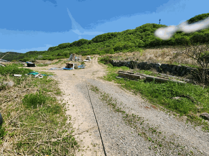 본건 (12)