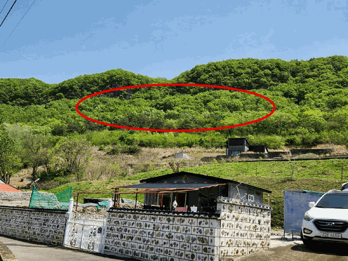 본건 (4)(6)(7) 전경