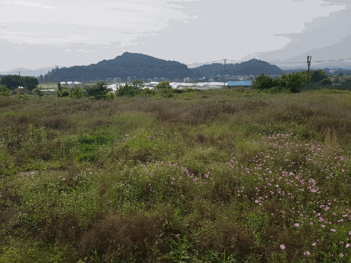 일련번호(5) 토지