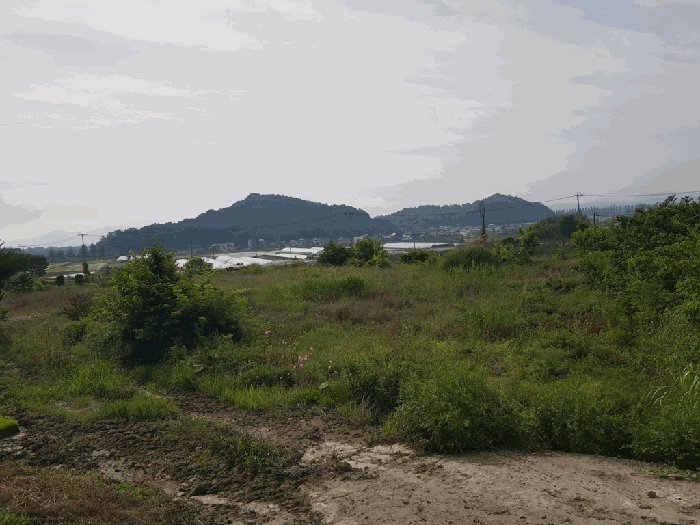 일련번호(6) 토지