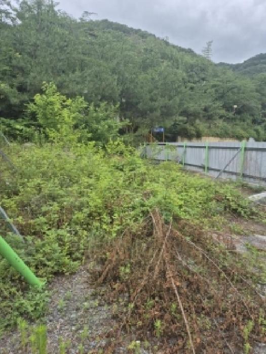 (지산동 6-4)