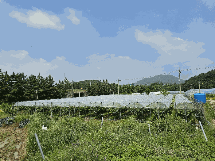 기호2, 제시외 건물 ㄹ 전경