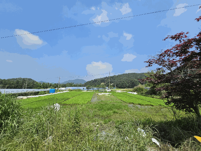 기호3 전경