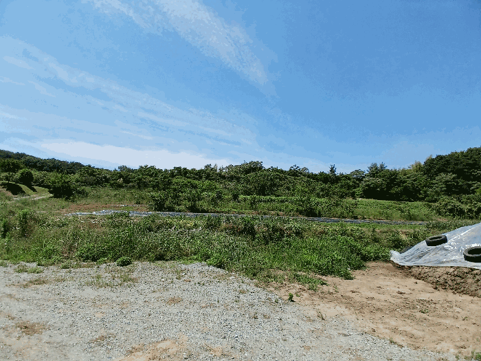 본건 전경