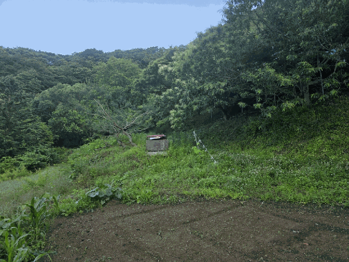 일련번호(3) 전경