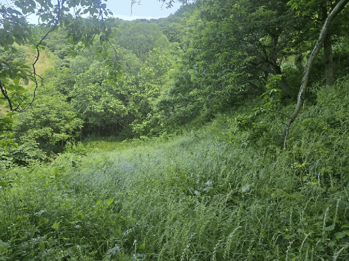 일련번호(2) 전경