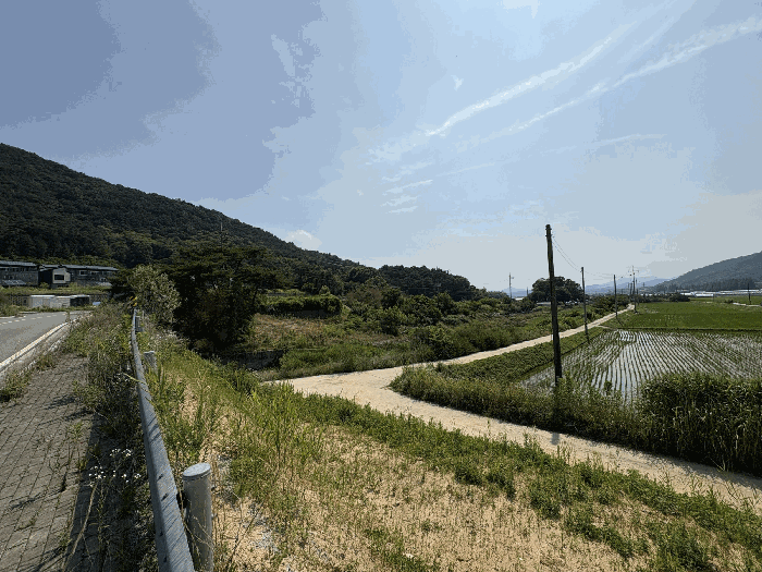 본건 전경