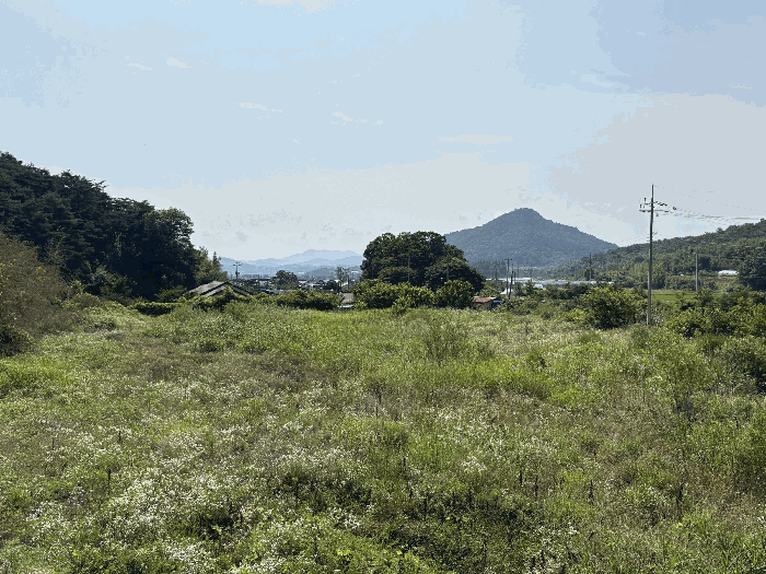 일련번호 1) ~ 3)