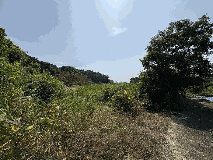 일련번호 2)