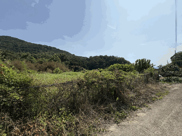 일련번호 3)