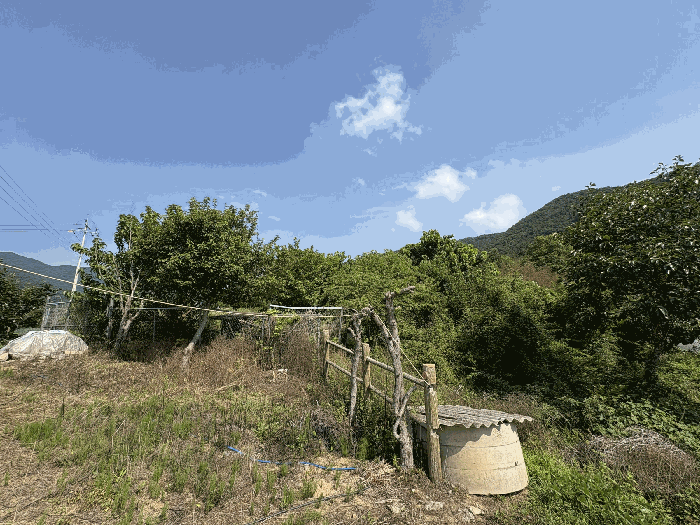 일련번호 3)