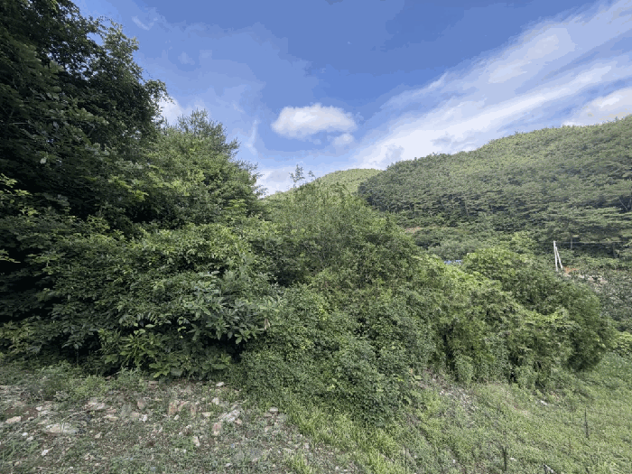 본건 전경