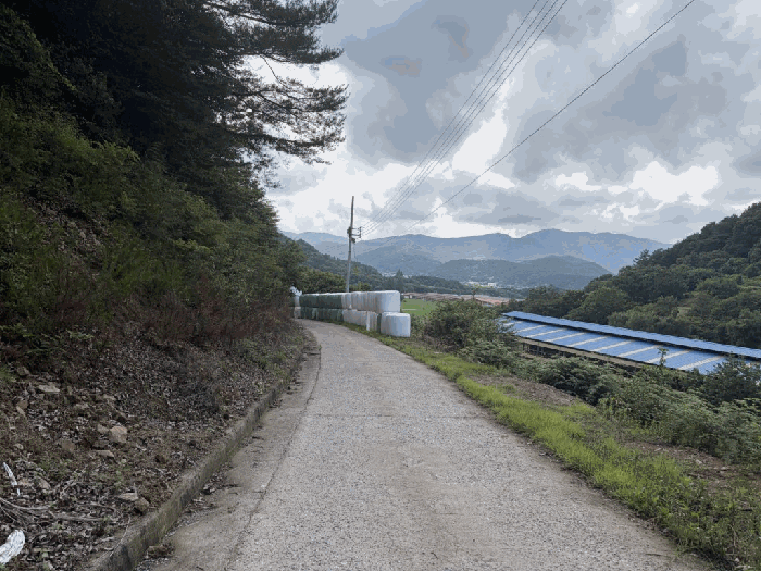 본건 주변환경