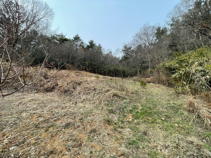2023타경50794