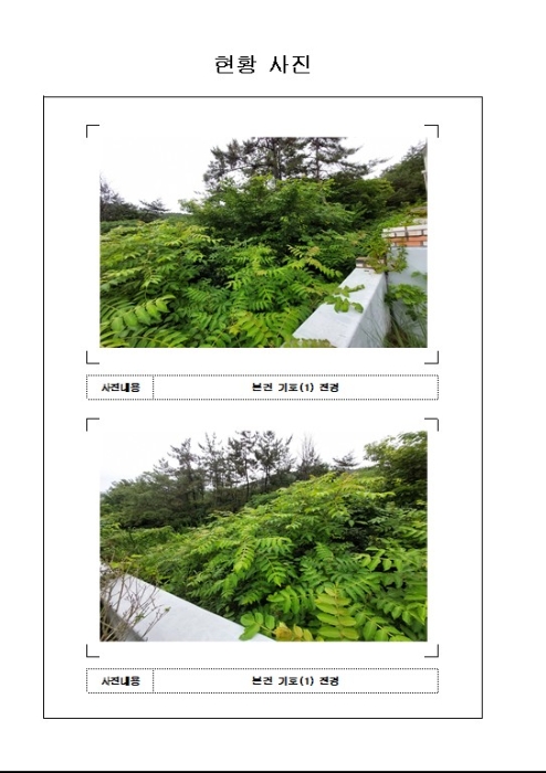 2023타경53373