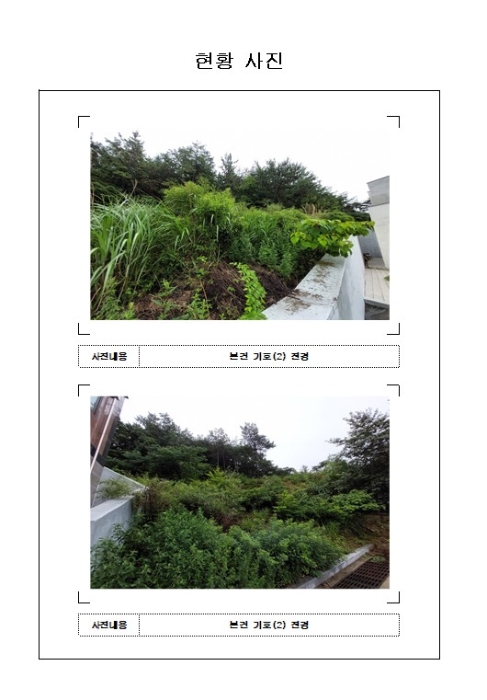 2023타경53373
