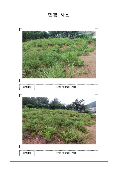 2023타경53373