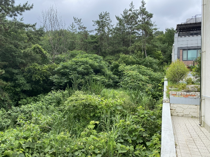 2023타경53373