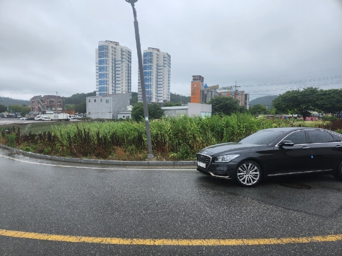 2024타경2488