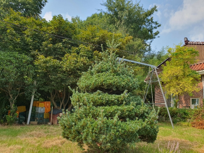 2024타경3238[3]