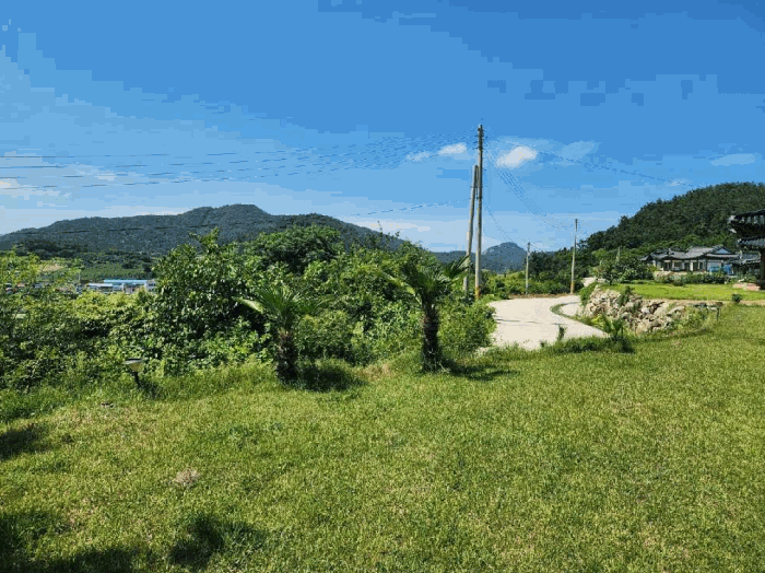 2024타경3269[2]