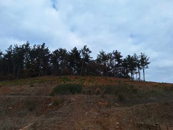 2024타경4583[2]