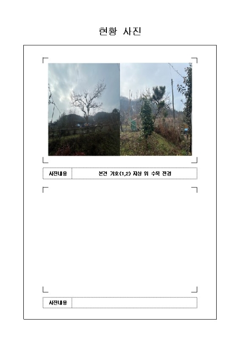 2024타경50555