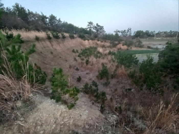본 건 전경