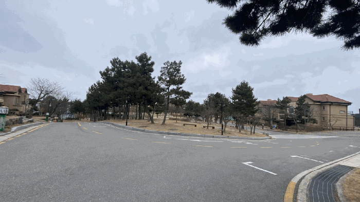 2025타경243