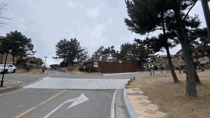 2025타경243