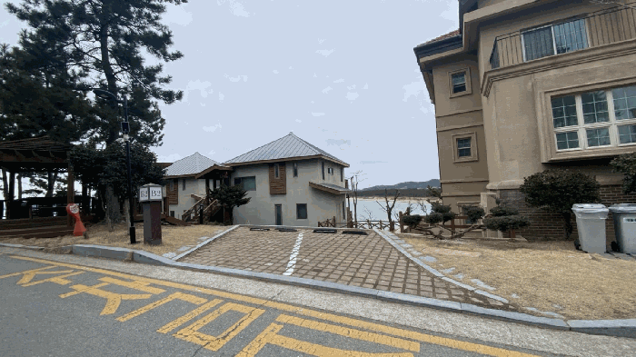 2025타경243