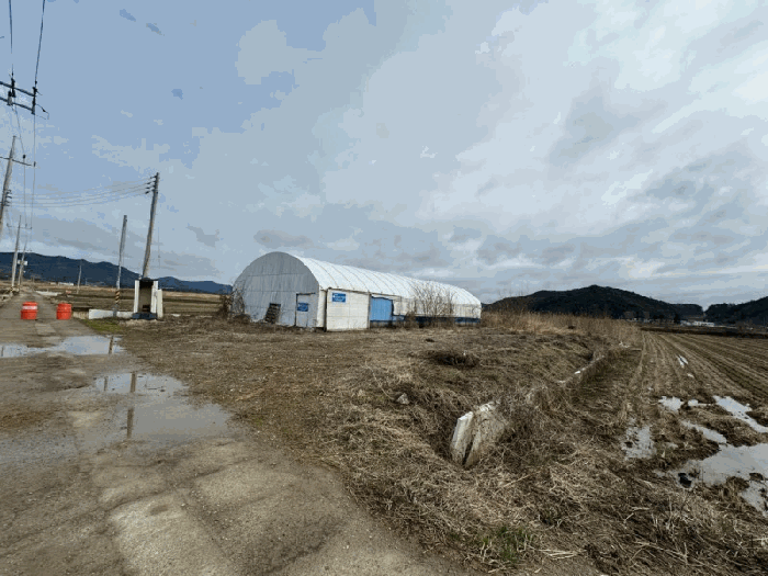 본건전경