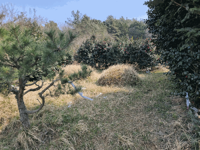 분묘소재부분(2기)