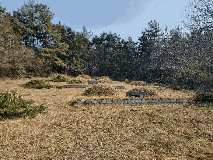분묘소재부분(7기)