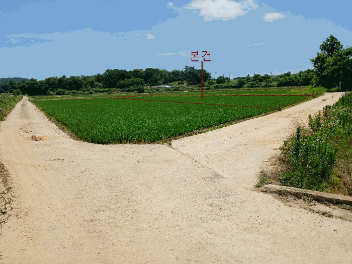 근 경