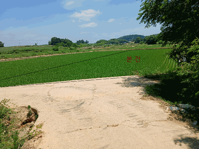 근 경